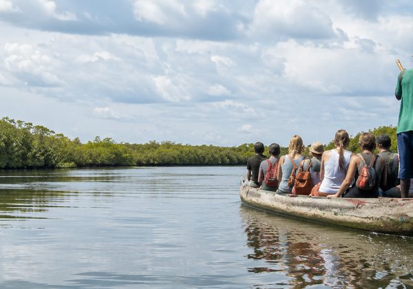 Excursion in Senegal